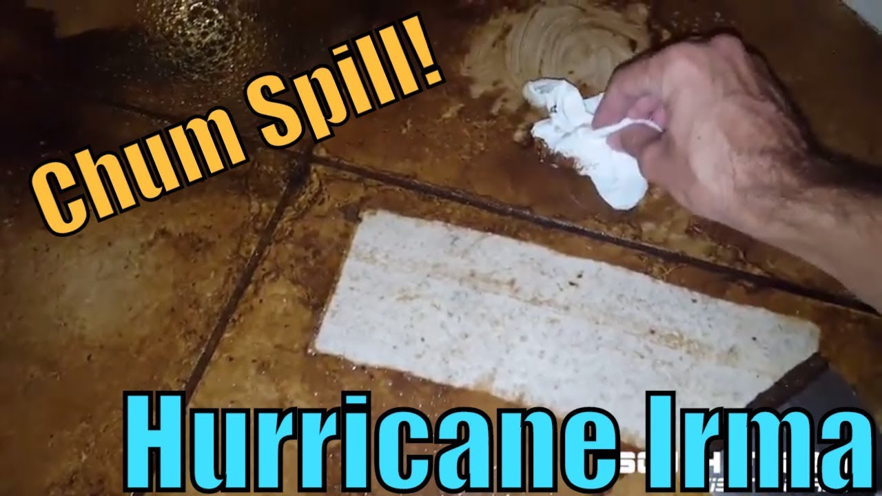 The storm that unleashed a smelly disaster in the Florida Keys