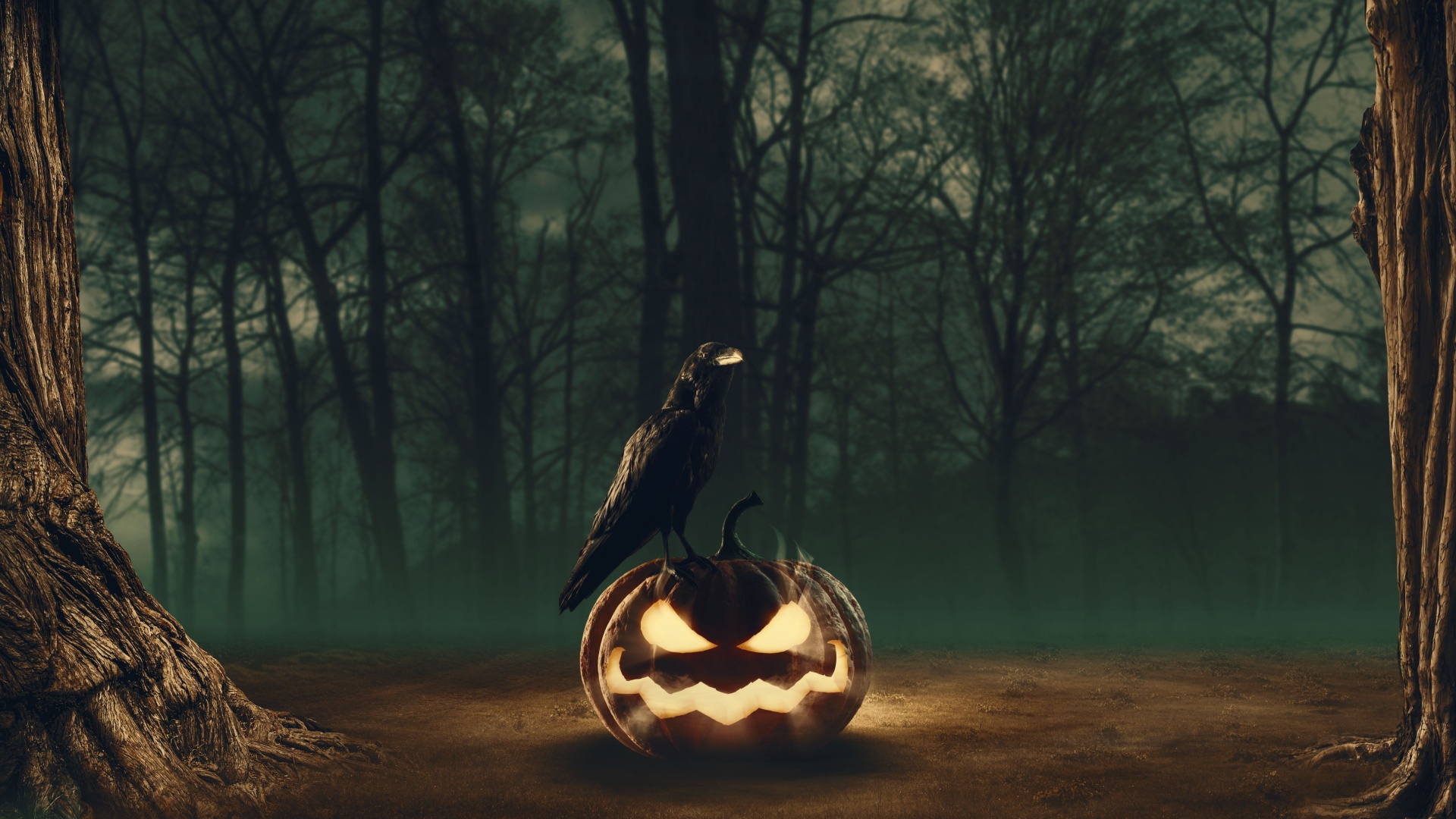 12 Spooky Creatures Connected To Halloween And What They Actually Represent
