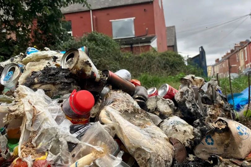 'UK's nicest street' now plagued by rats, litter and arson as locals ...