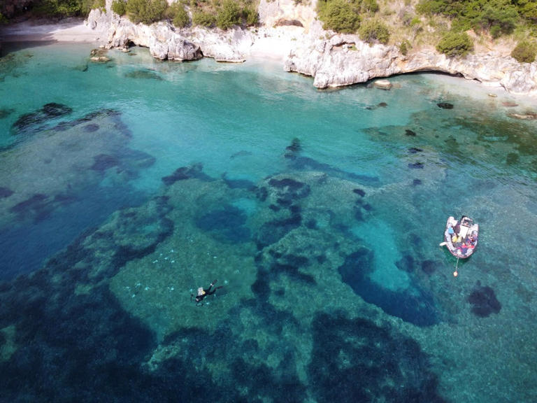 Scientists map Italy’s entire coast to guide seagrass and marine recovery