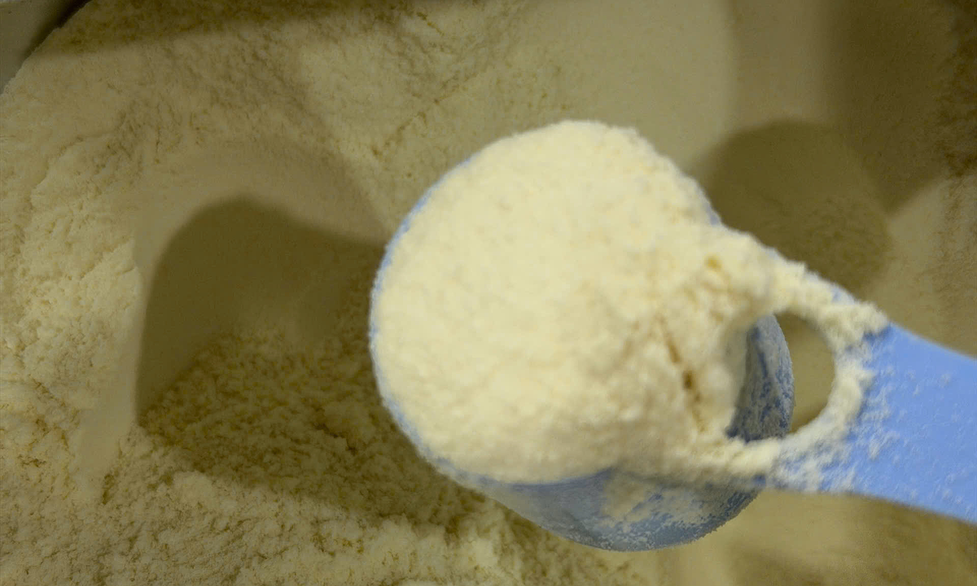 Sữa bột có hạt đen có phải lẫn tạp chất?