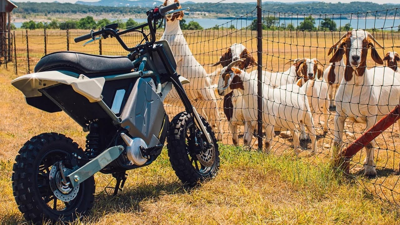 2026 LiveWire S4 Honcho: Das neue Elektro-Motorrad für die 125er-Klasse