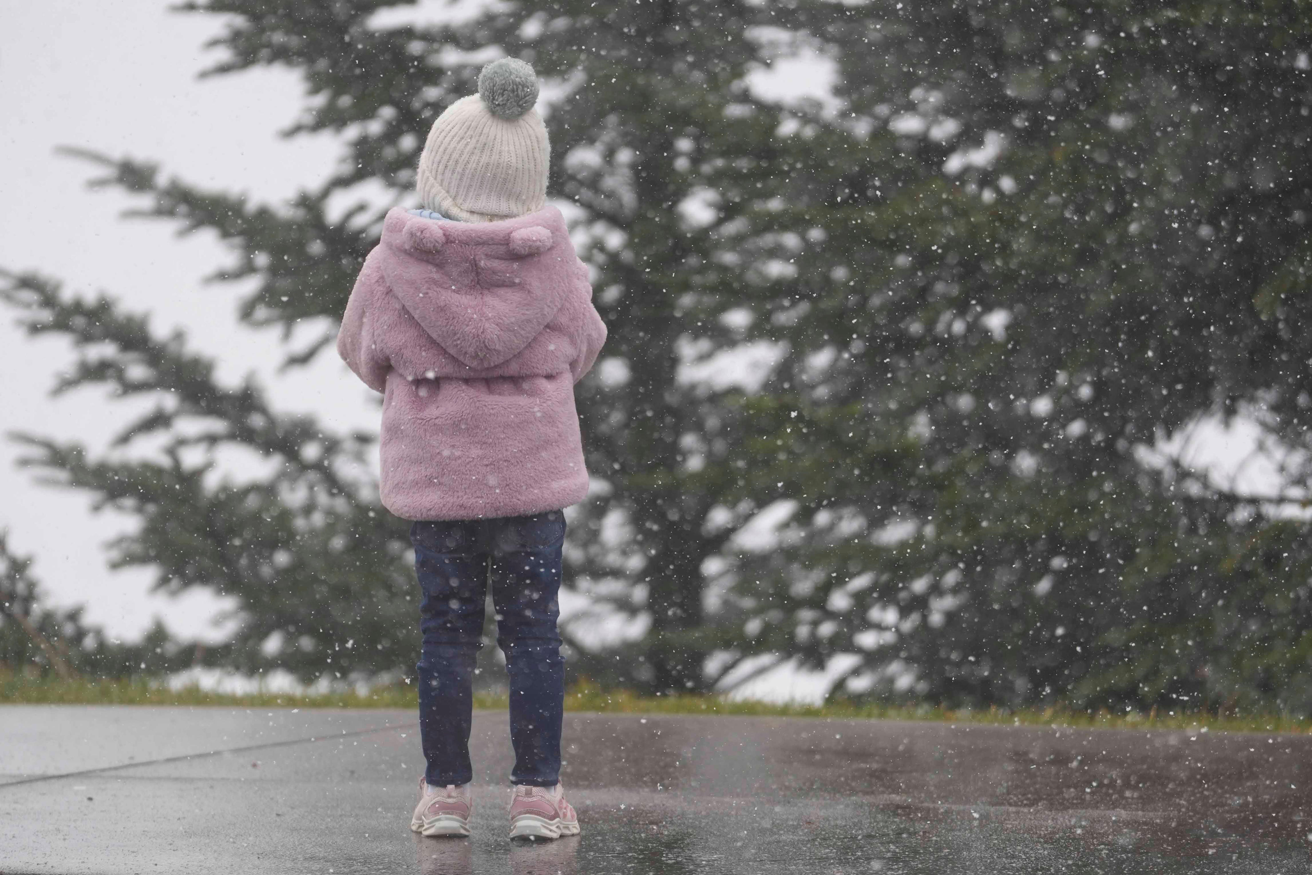 Snow or freezing rain are possible in East Tennessee - see the forecast