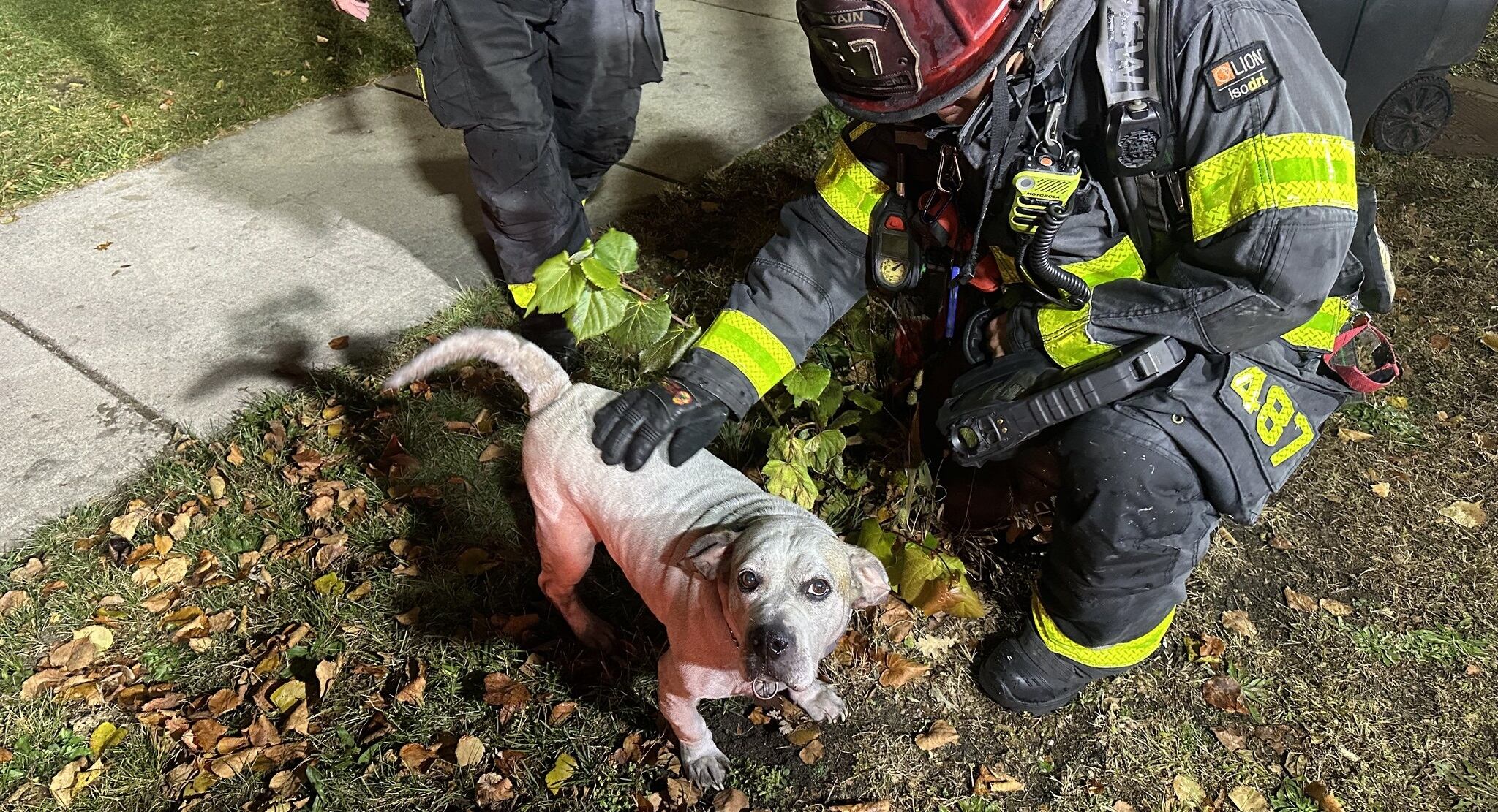 2 juveniles taken to hospital, 2 dogs rescued from house fire in South Bend