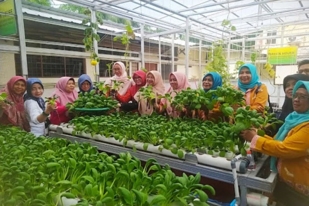 Posyantek Rosella, Kedaulatan Pangan di Tengah Jakarta Padat