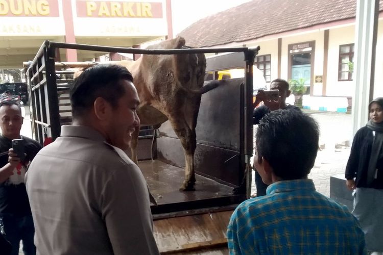 Dua Pemuda Tuban Curangi Sapi di Blitar dengan Mobil Elf