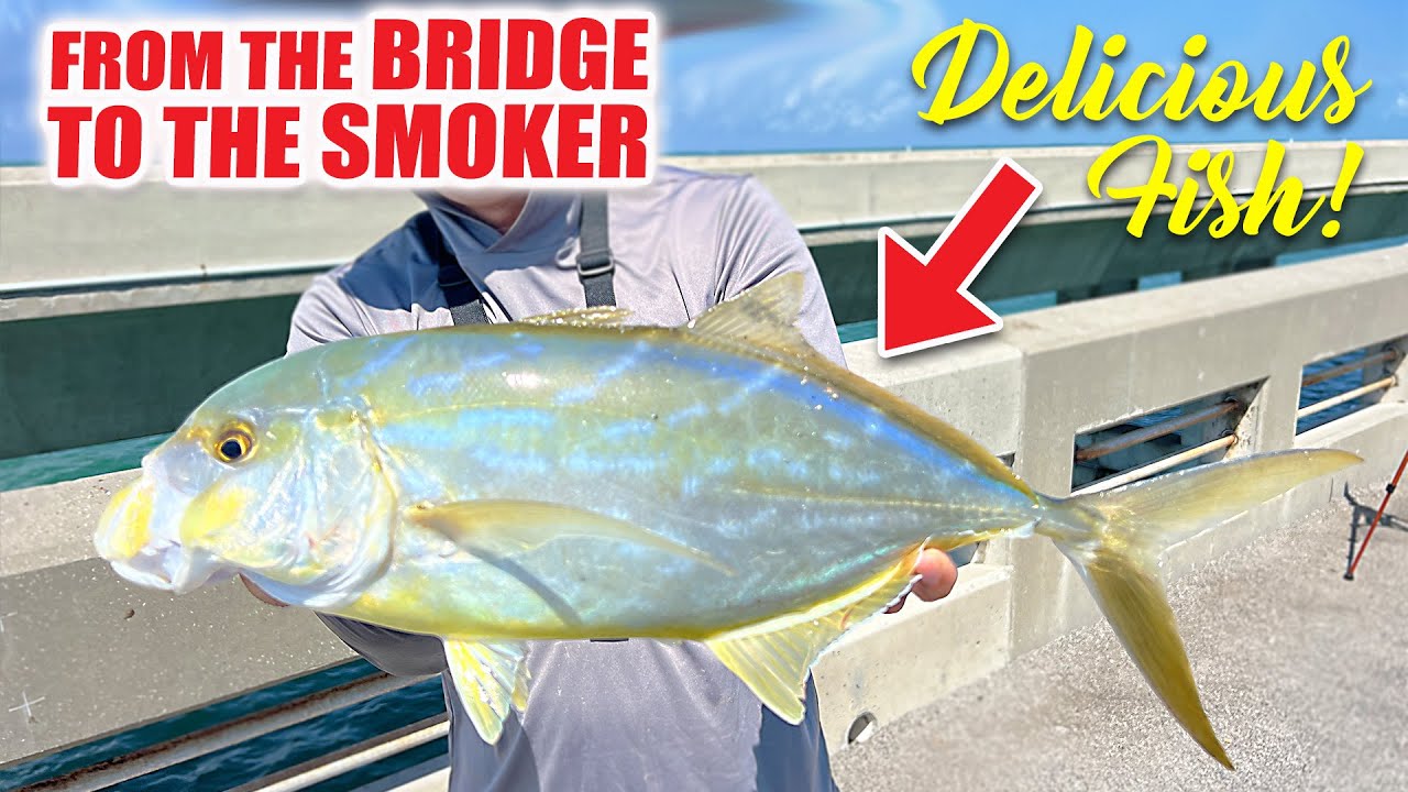 Bridge fishing in the Florida Keys for snapper and yellow jacks