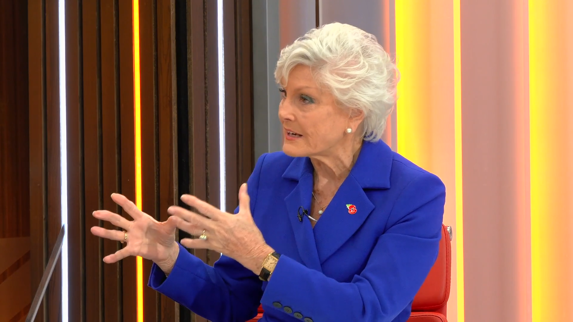 WATCH: Angela Rippon honours animals who ‘saved lives’ in war at Hyde ...