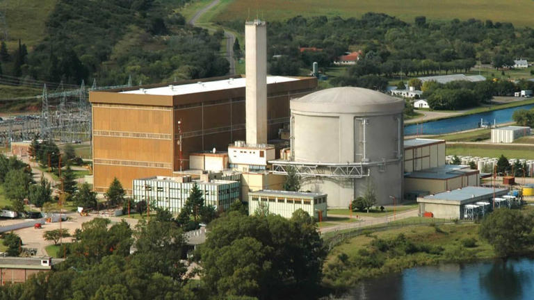 El Gobierno avanza con la privatización de Nucleoeléctrica Argentina ...