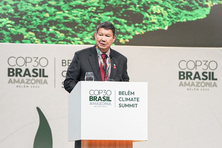 Indonesia Dukung Brasil Konservasi Hutan Tropis Menuju Net Zero
