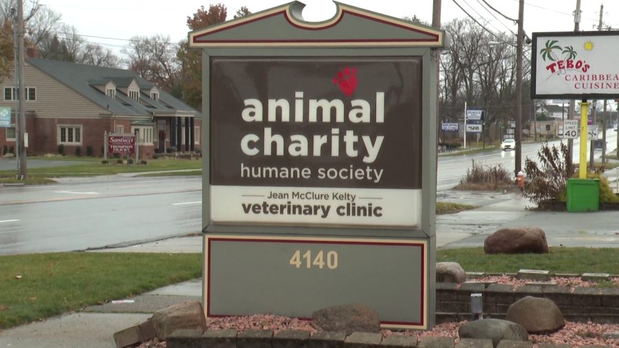 Animal Charity hosting community events