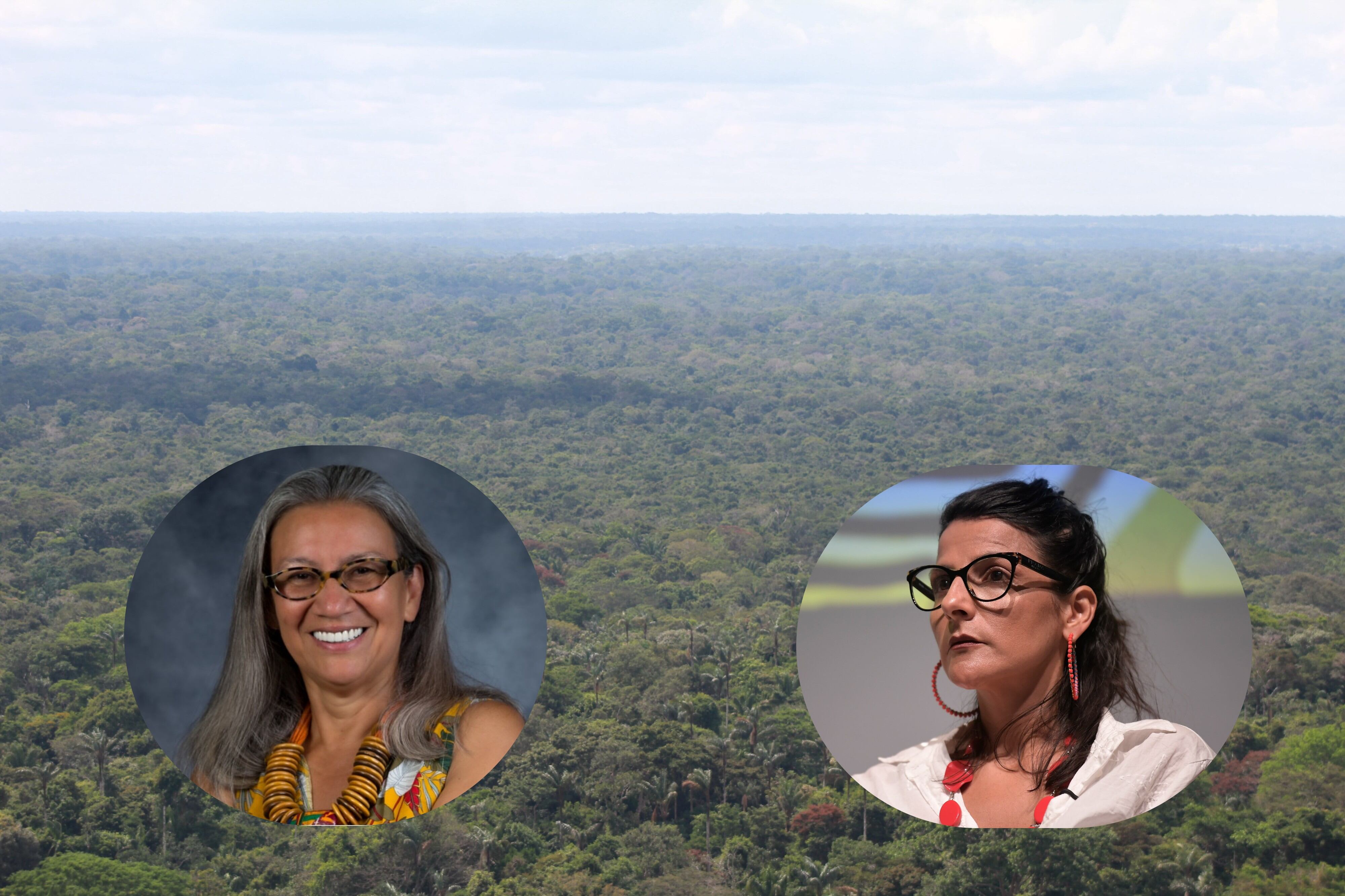 El Ministerio de Ambiente se queda sin su viceministra Tatiana Roa ...