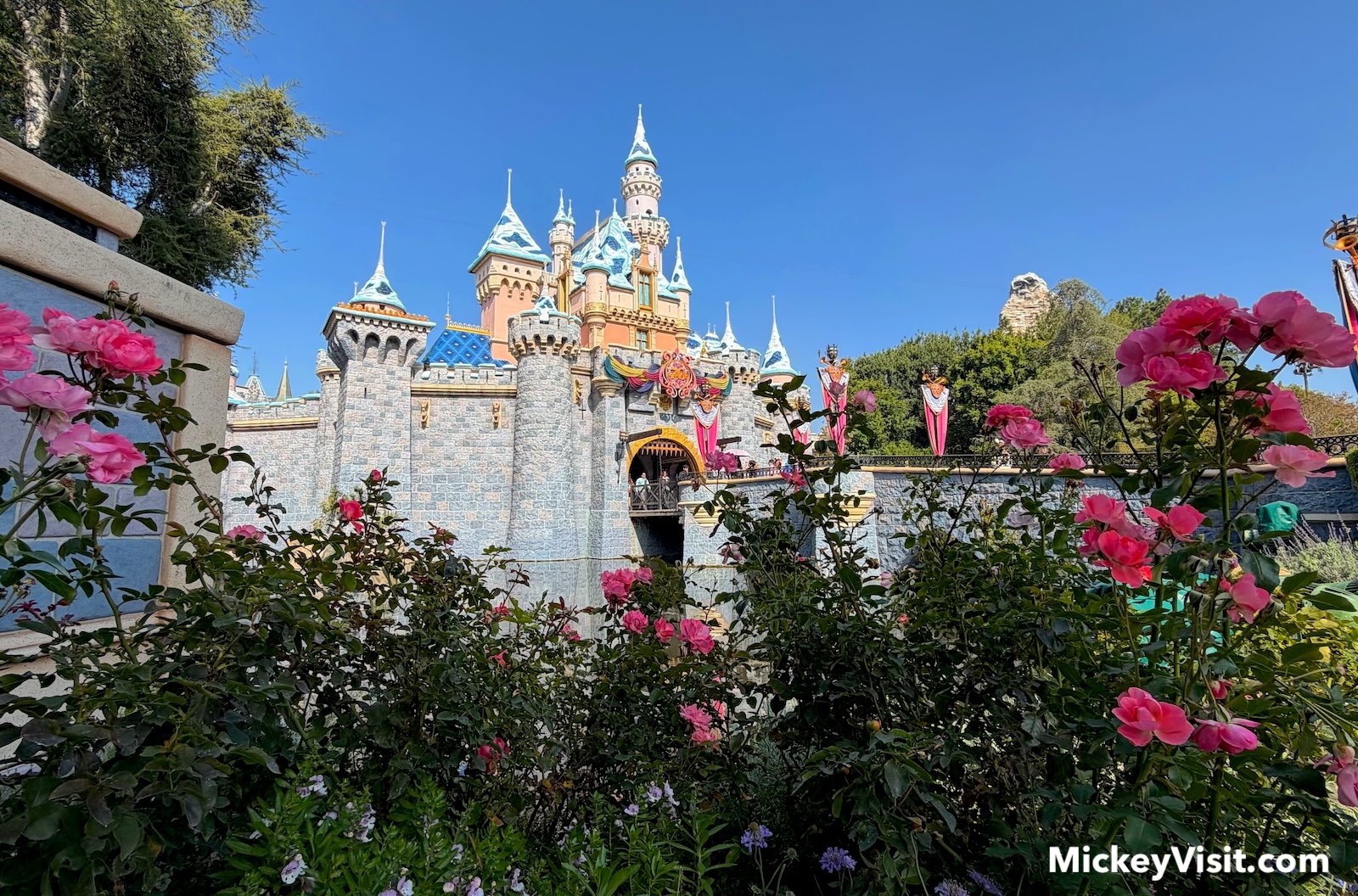 Disney Made Big News This Week That You Missed