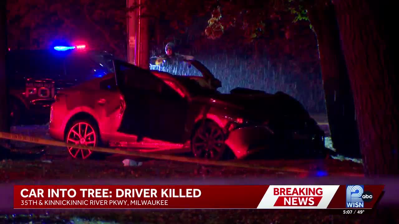 Driver killed after car crashes into a tree