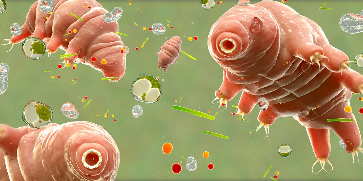 The Genetic Powers of These Tiny Creatures Could Make Us Superhuman