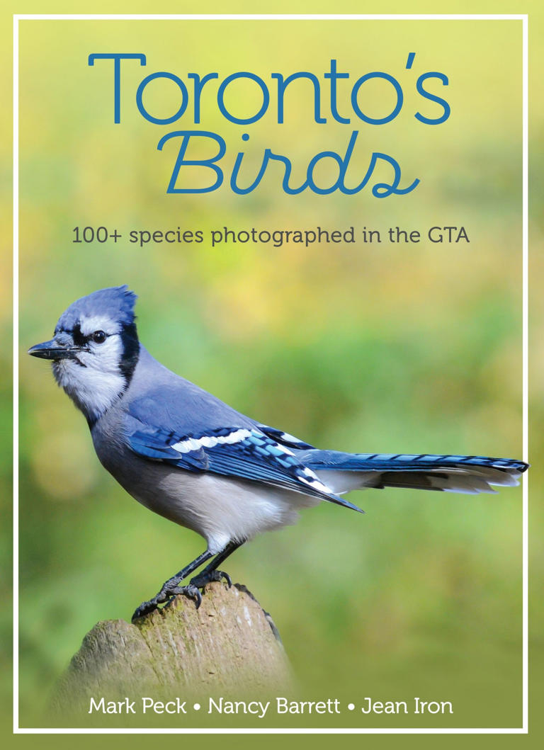 The City Gardener: Toronto is for the birds