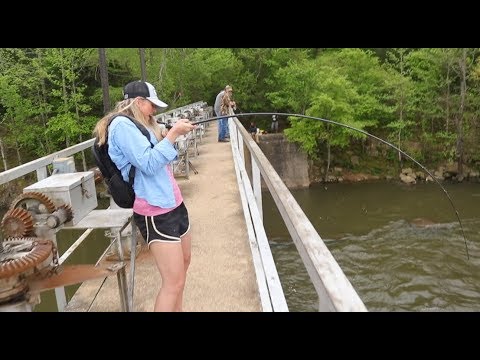 Catching Giant Buffalo Fish Teaches Cooking Techniques