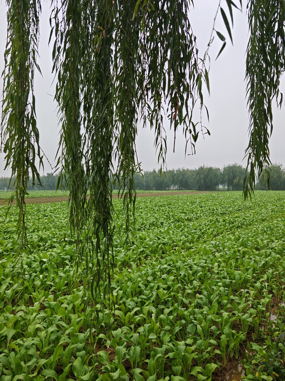 14 Most Controversial Art Pieces Ever