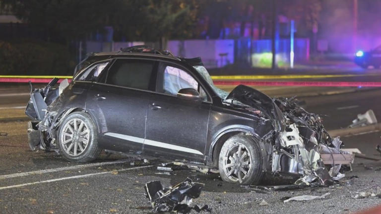 Driver dead after eluding, crashing in SE Portland