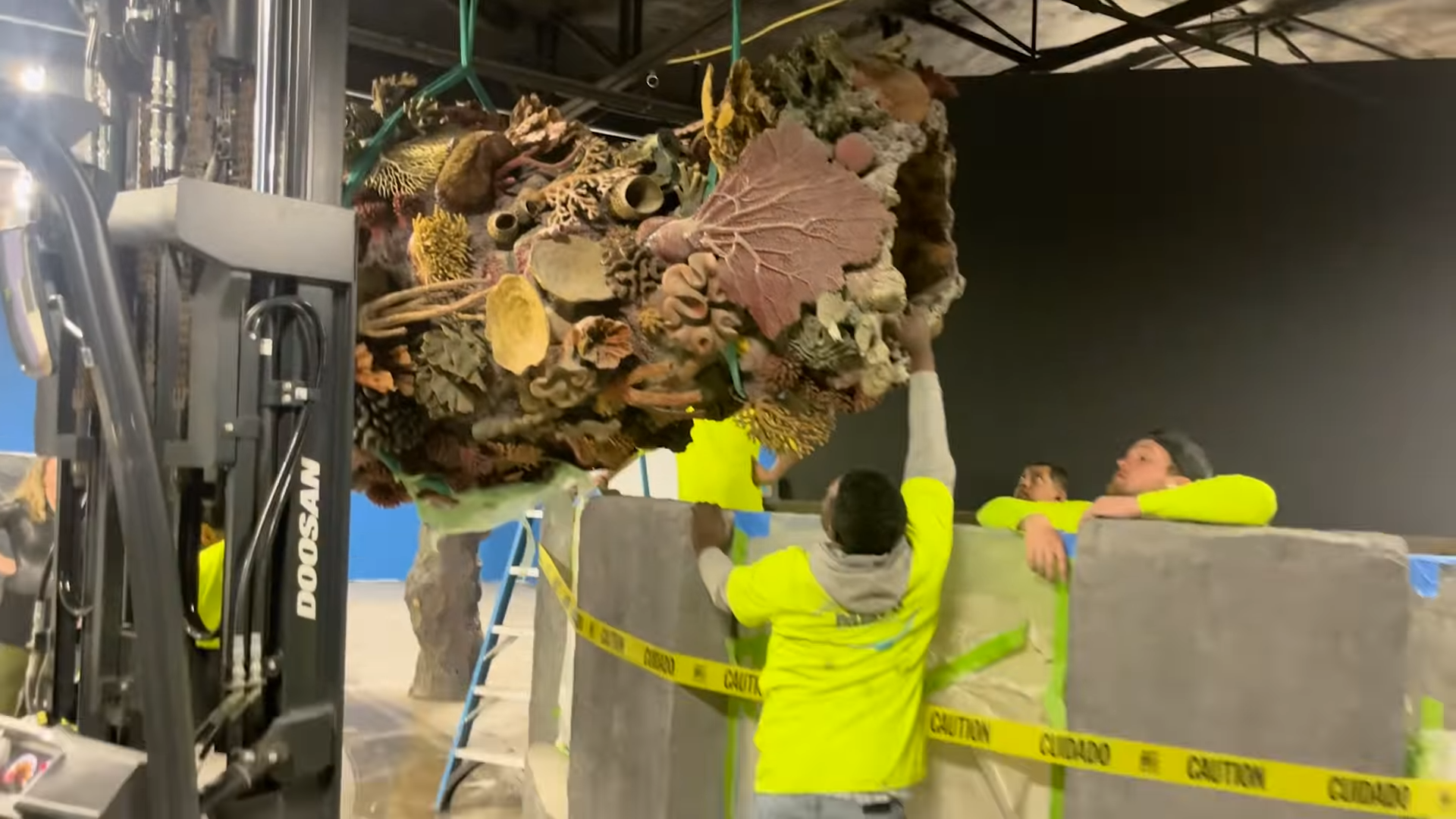 Engineering a Monster: Building a 100,000-Gallon Shark Tank