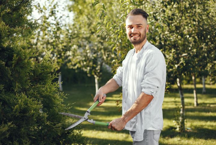 What's Digging Up Your Yard Without Leaving A Mound, And How Can You ...