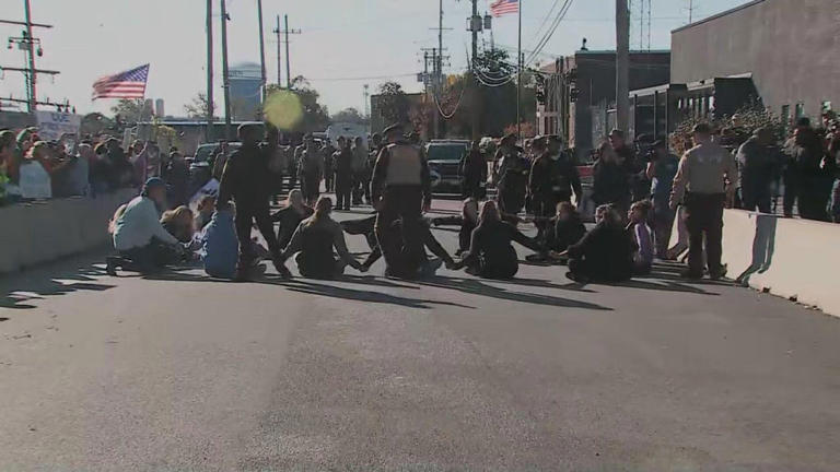 15 protesters arrested outside Broadview ICE facility, Cook County ...