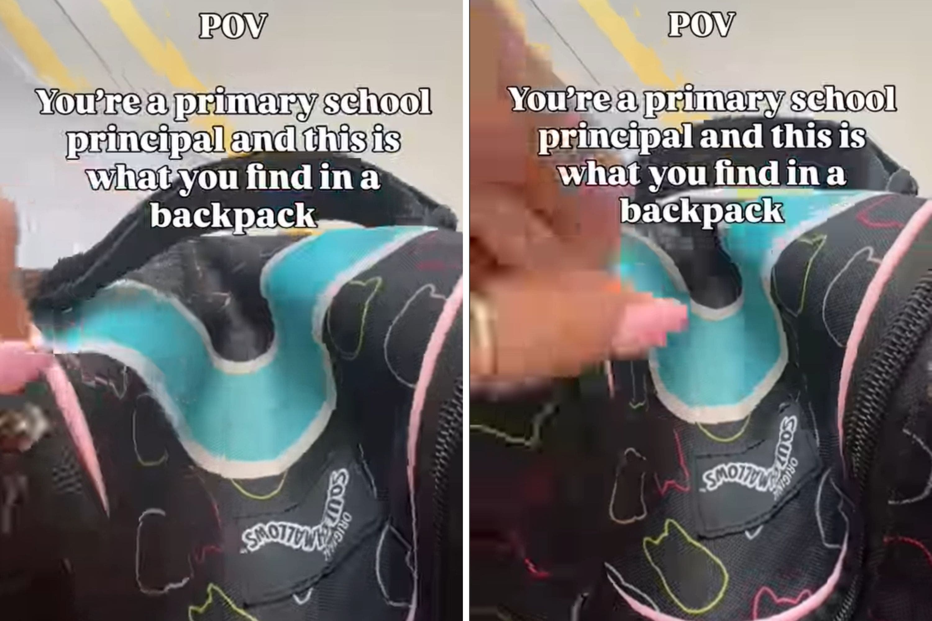 Principal sees student's backpack moving—not prepared for what's inside