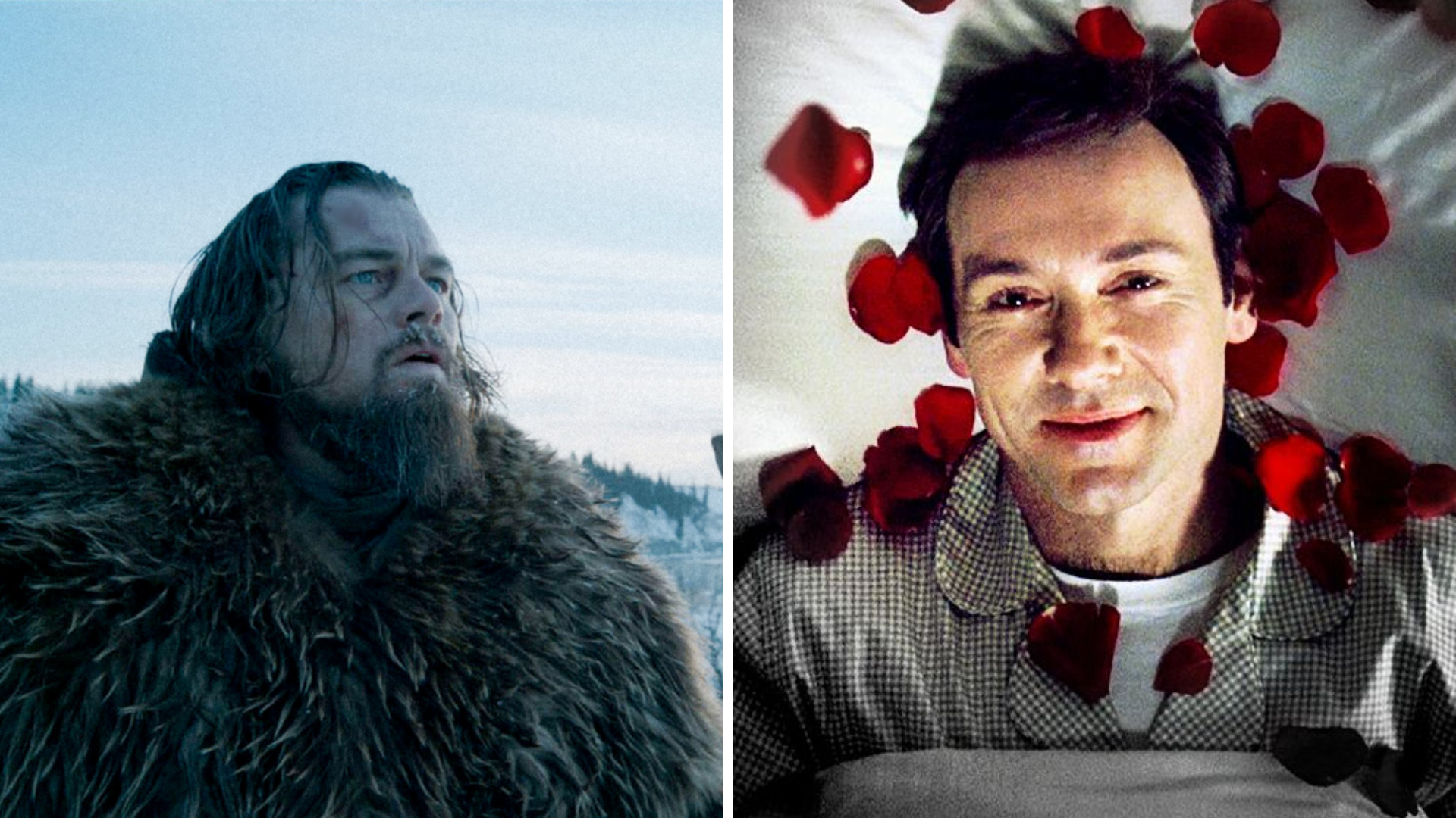 Films Critics Loved but Audiences Snoozed Through