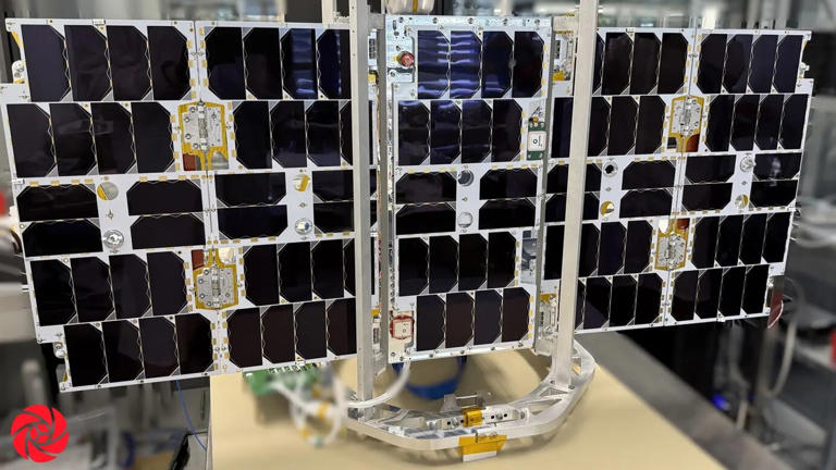 El estudio satelital de seguimiento de vida silvestre Icarus se relanzará el 11 de noviembre.