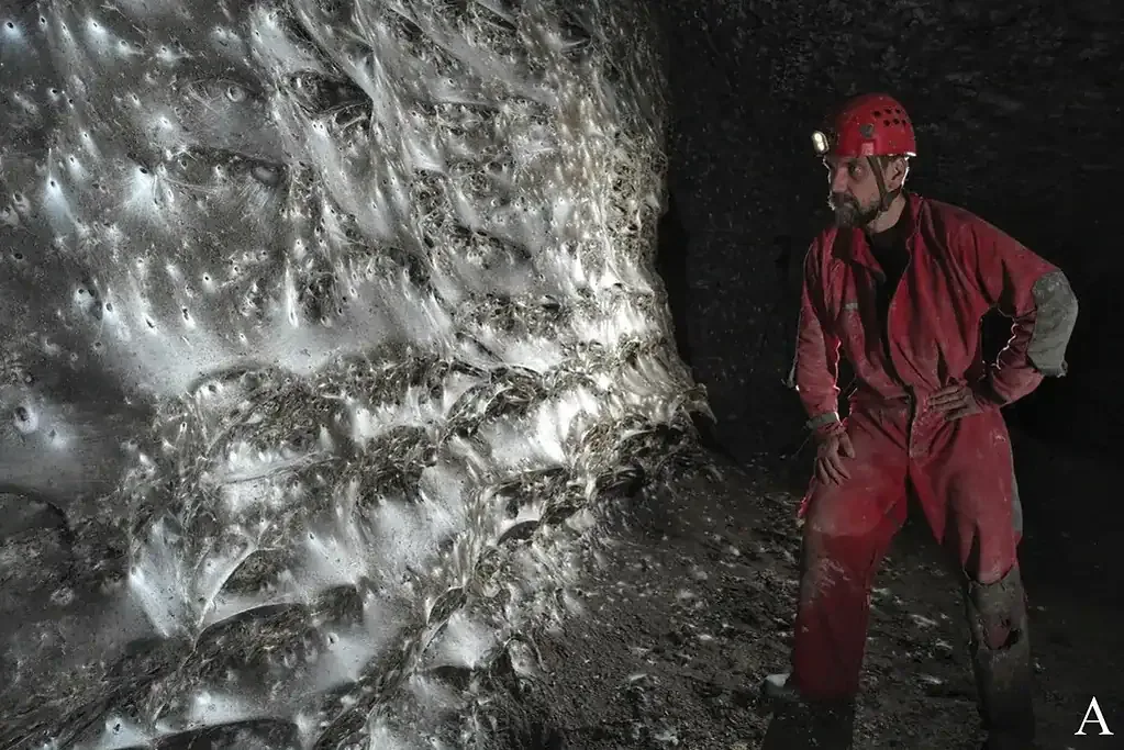 Scientists Discover 100,000 Spiders Building a Massive Web in a Toxic Cave