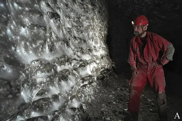 Scientists Discover 100,000 Spiders Building a Massive Web in a Toxic Cave