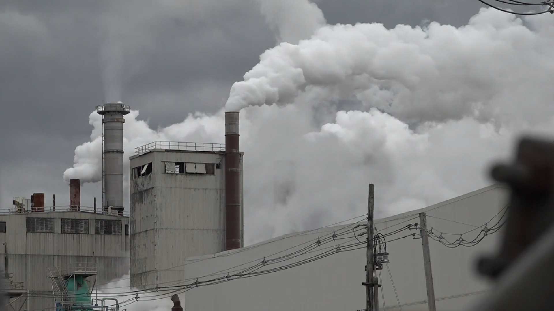 UMaine student dies after gas incident at pulp mill