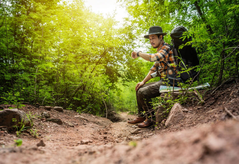 Mistakes Hikers Make That Can Trigger Snake Attacks