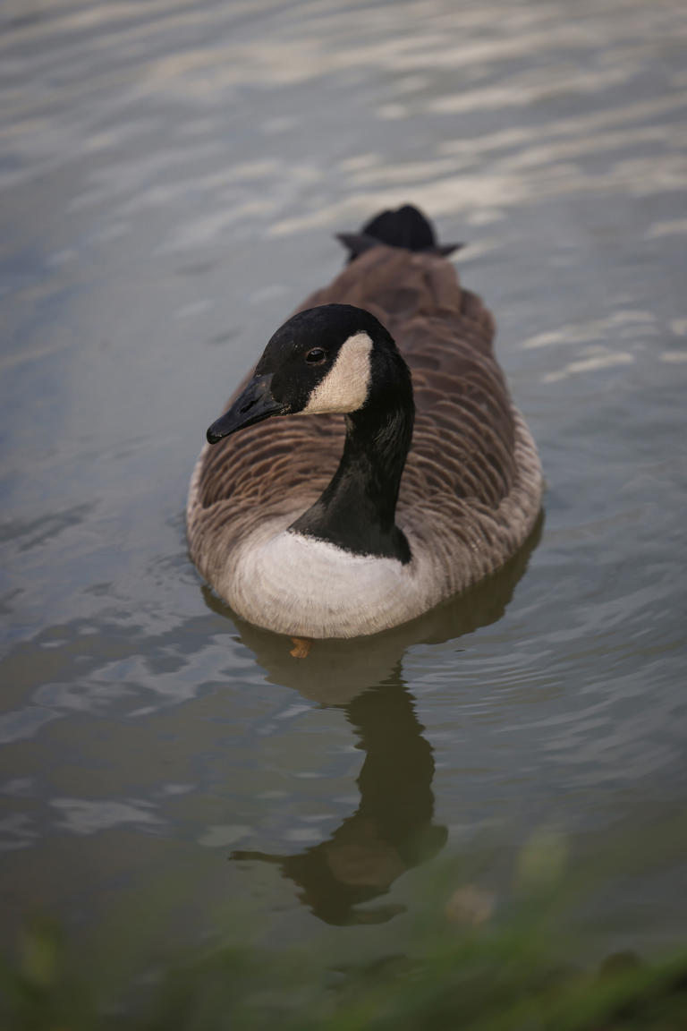 Canon EOS R6 Mark III sample photo gallery: See what Canon's 32.5MP ...