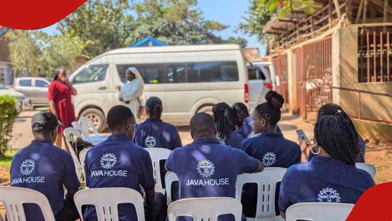 Java House Nairobi announces jobs for waitstaff, other positions for ...