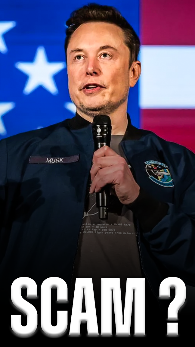 Elon Musk Calls NYC Election a ‘Scam’ What’s Really Going On?