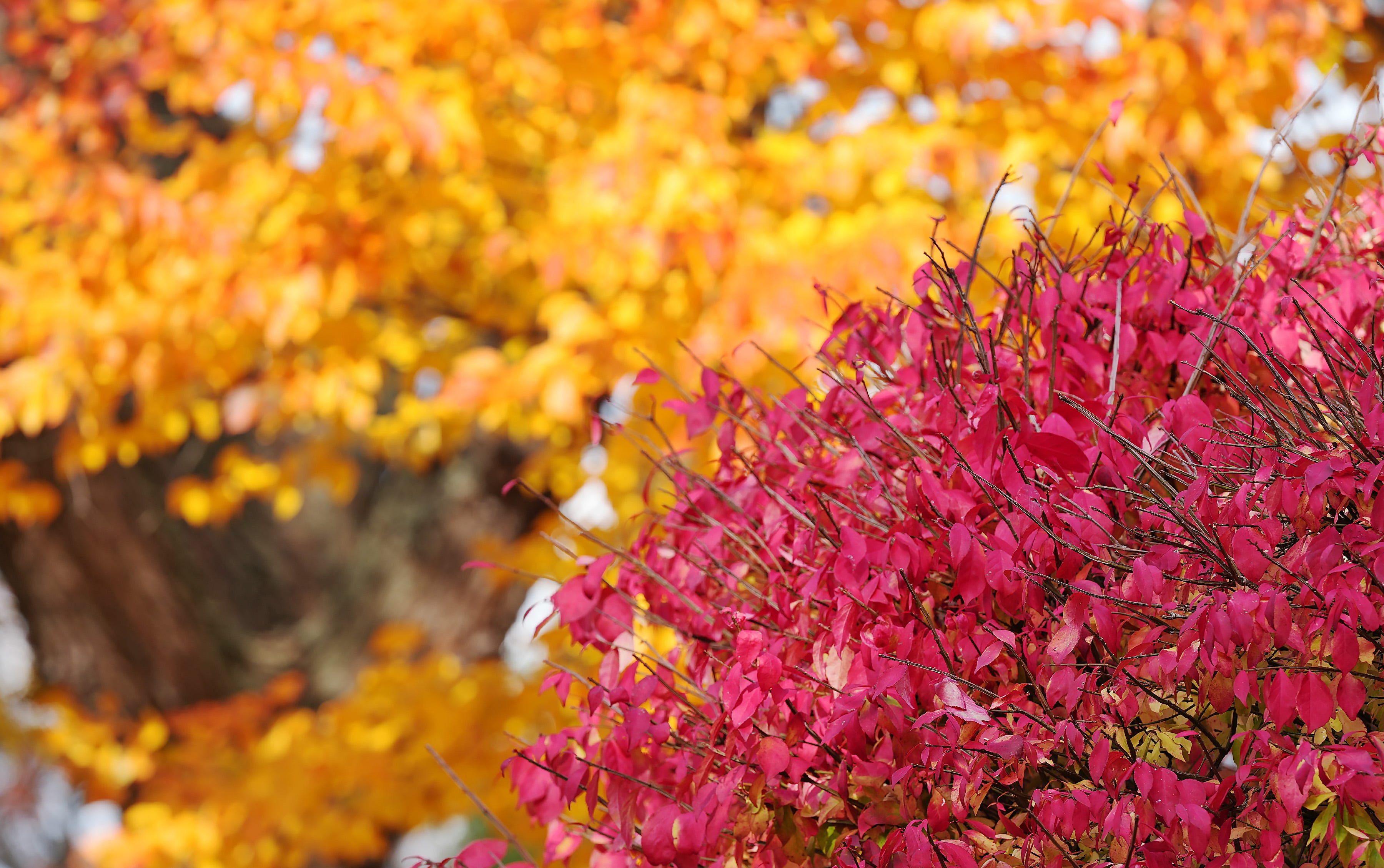 Last minute fall getaway? Discover Alabama’s top 5 state parks for a ...