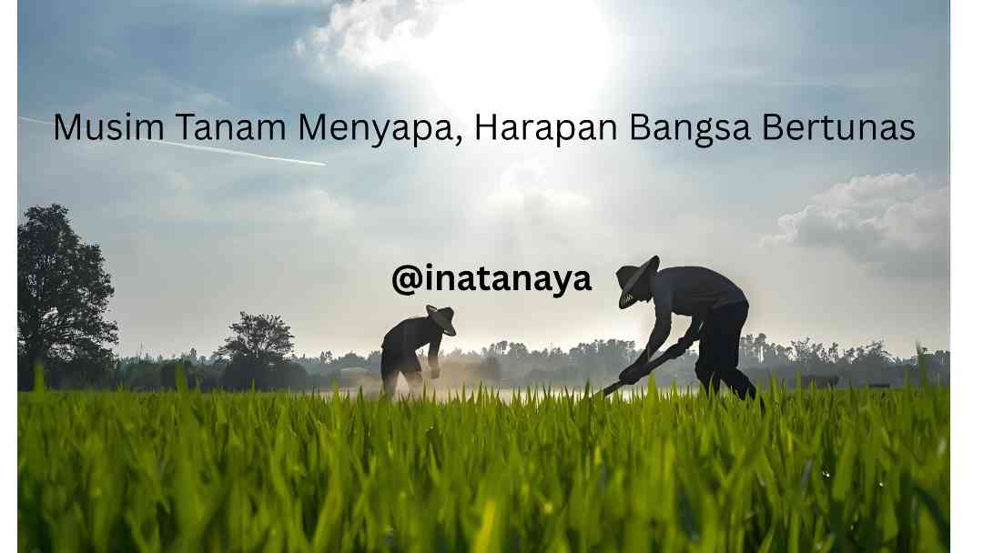 Musim Tanam Menggugah Harapan Bangsa di Lahan Pertanian