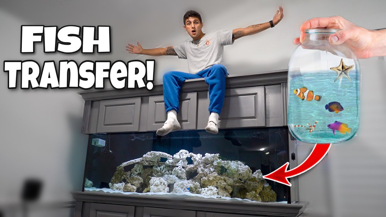 I witnessed life in Afghanistan's hidden corners 🌍