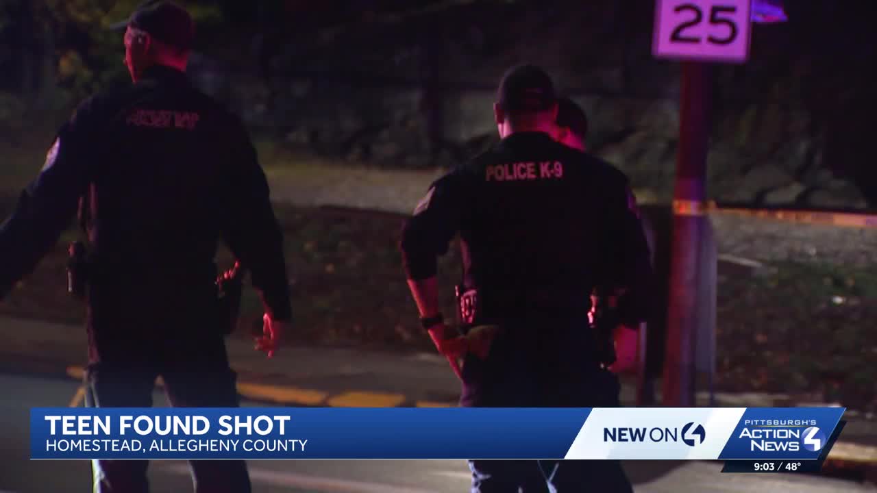 Teen injured after shots fired in Homestead