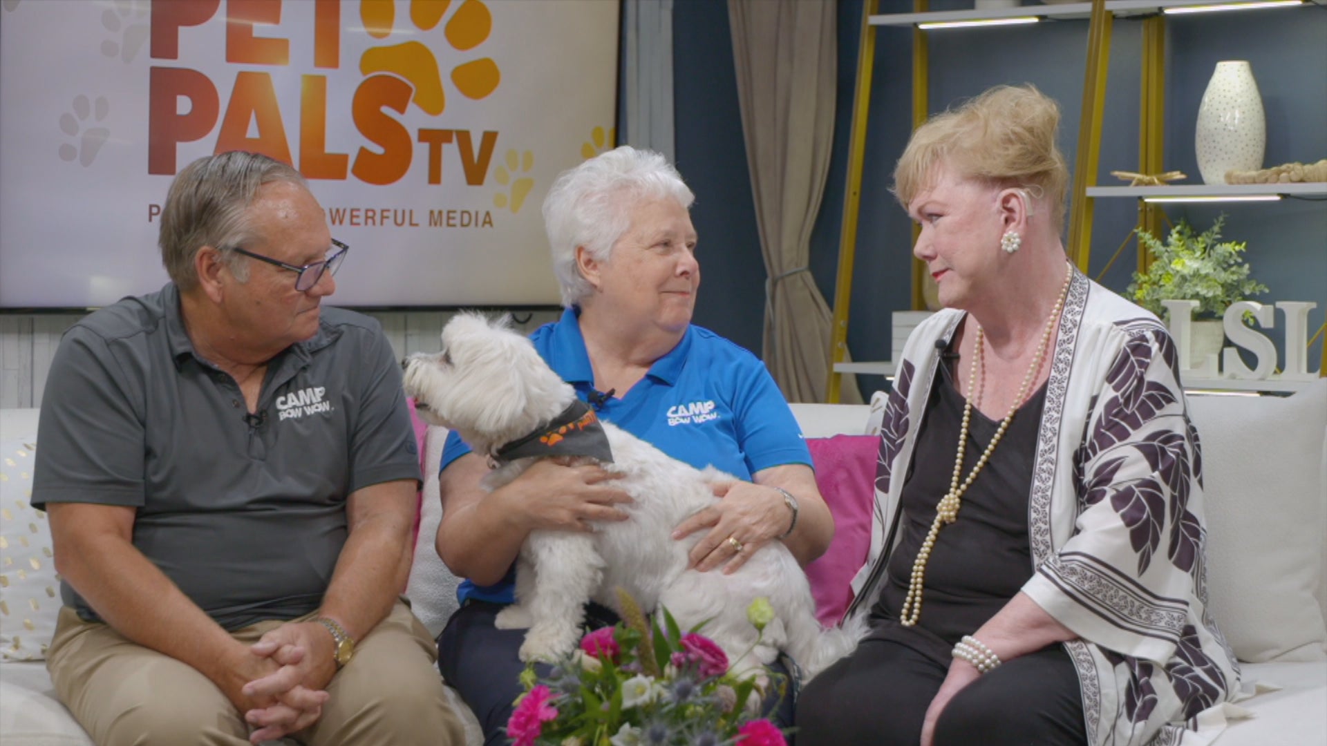 How a dog day care franchise helps canines make friends