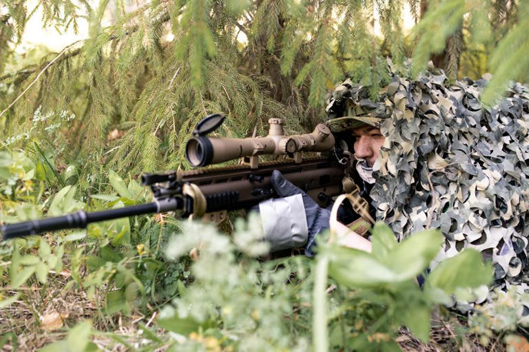 SAS 'directly involved' in killing 4,000 terrorists in ambushes and ...