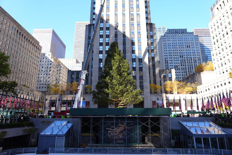 Rockefeller Center Christmas tree honoring donor’s late husband lifted ...