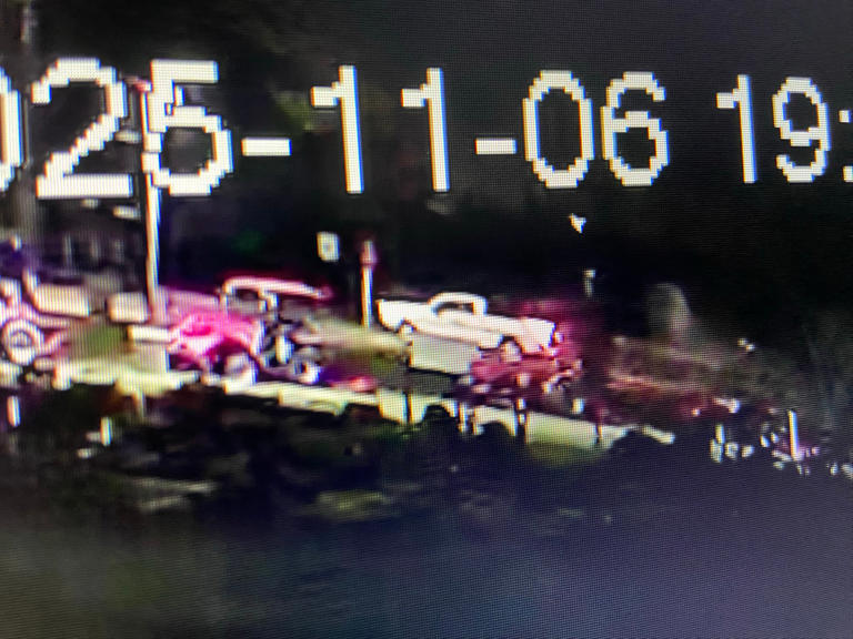 Reckless involuntary manslaughter: Suspect arrested after hit-and-run ...