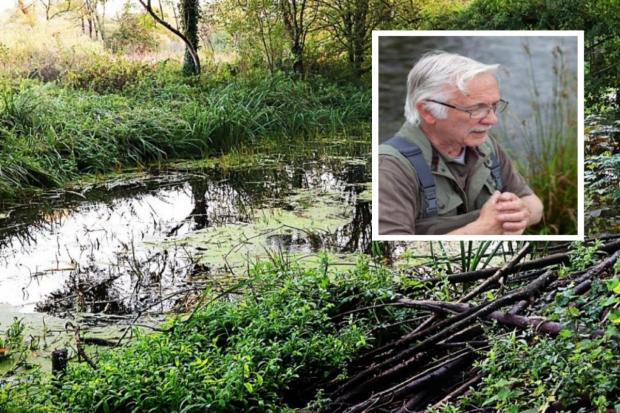 Biologist says River Avon 'in danger of ecological collapse' due to ...