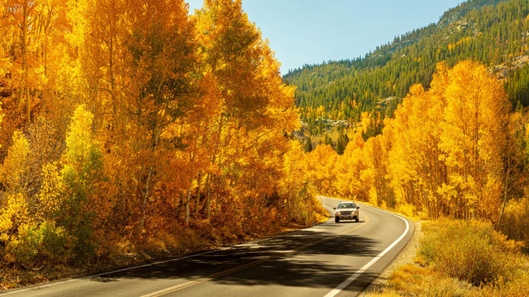 California's Historic Gold Rush Town Boasts Scenic Fall Foliage For ...