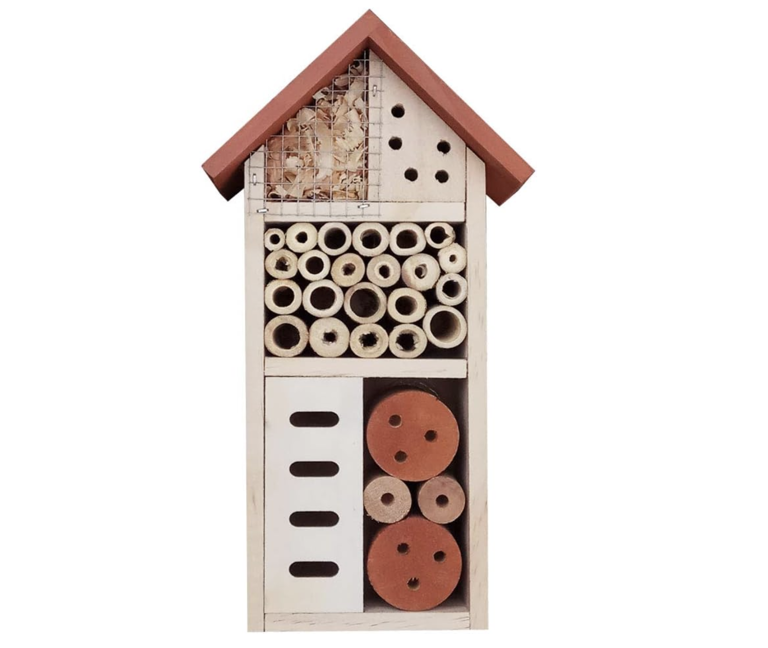 Those aren't friendly ladybugs in your house — how to spot and repel ...