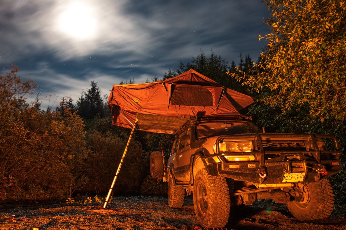 Why Gen Z Is Falling in Love With Bushcraft and Off-Grid Living