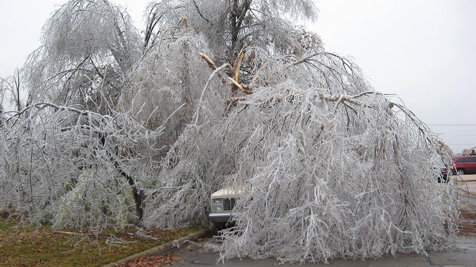 Reasons Why Freezing Rain Is The Worst & How It Forms