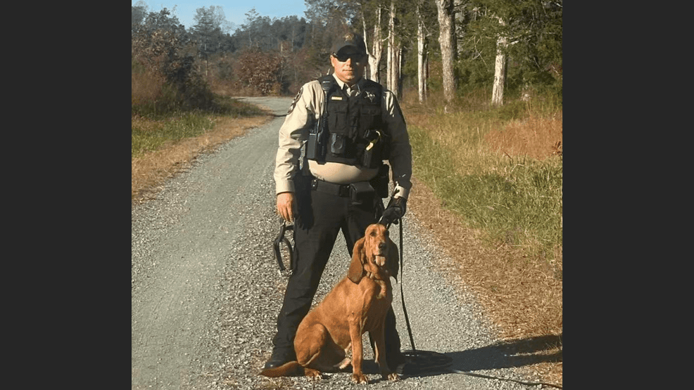 Missing man found safe after search led by Halifax County K9 team